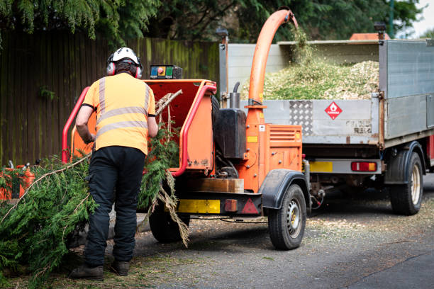 Best Utility Line Clearance  in South Wenatchee, WA