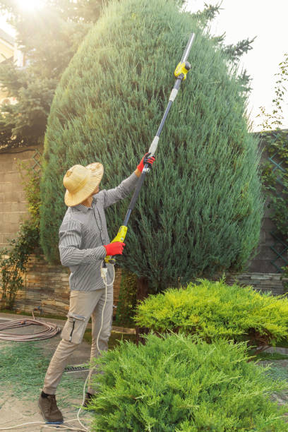  South Wenatchee, WA Tree Services Pros